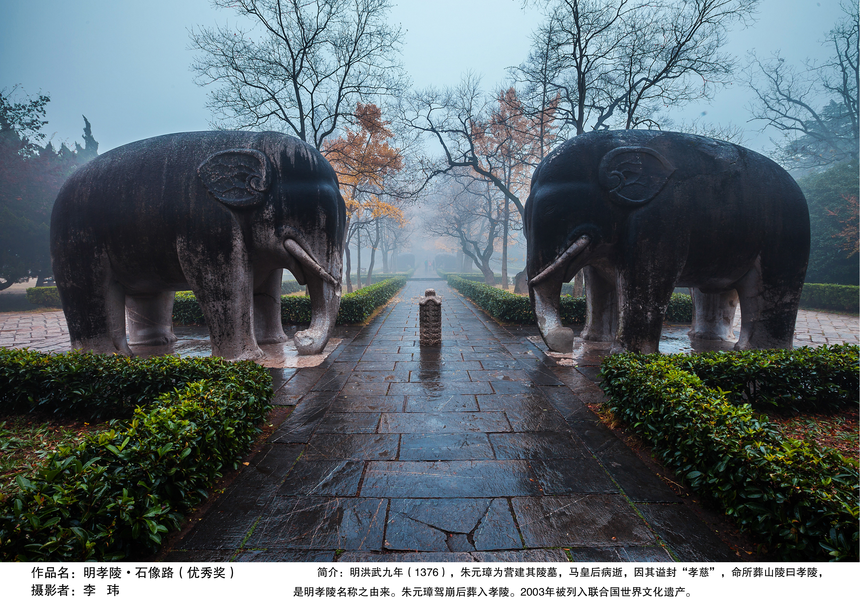 南京市非遗地名摄影大赛优秀奖-明孝陵石像路-李玮